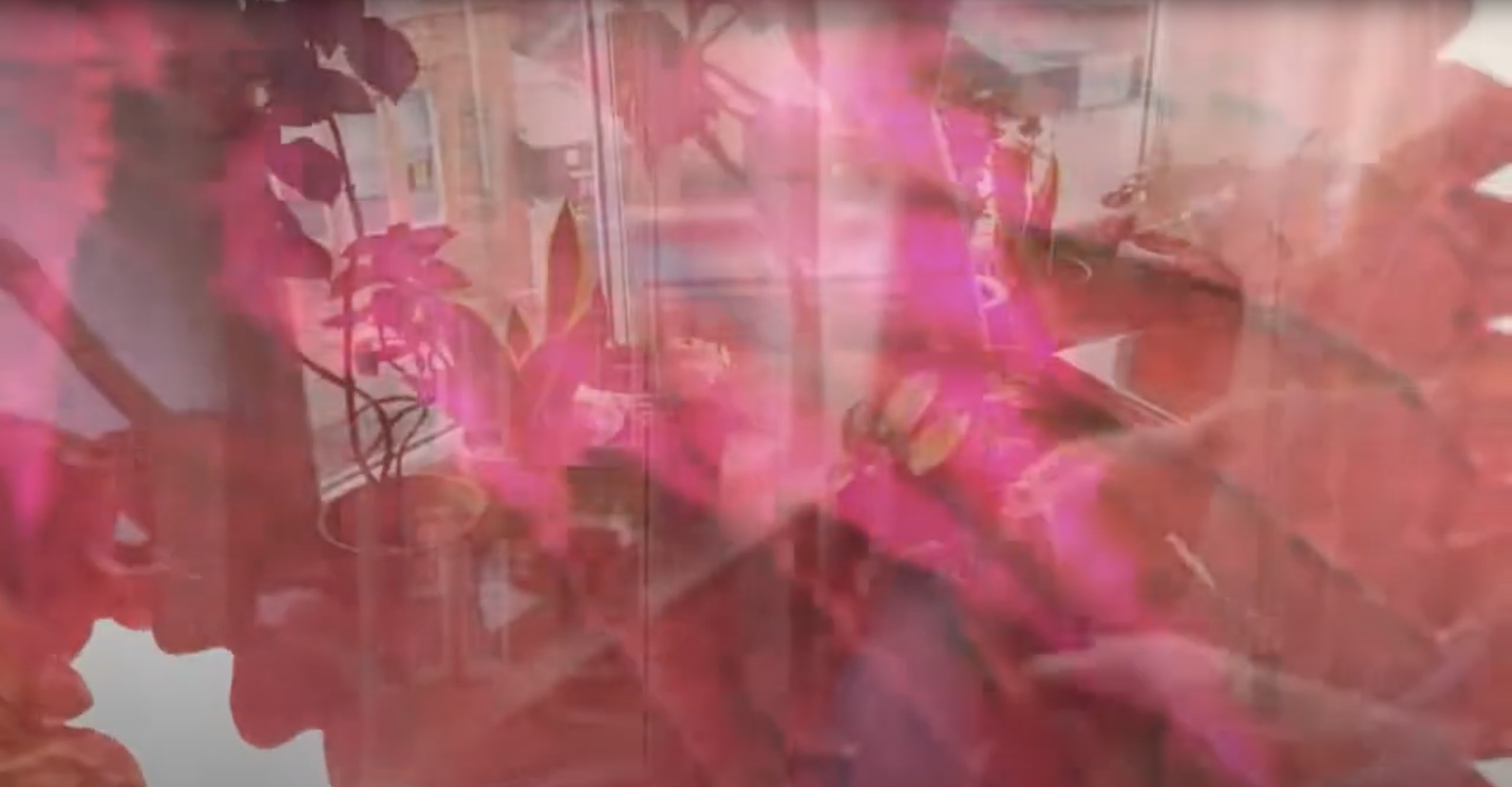 An artistic still from a music video with red and pink plants.